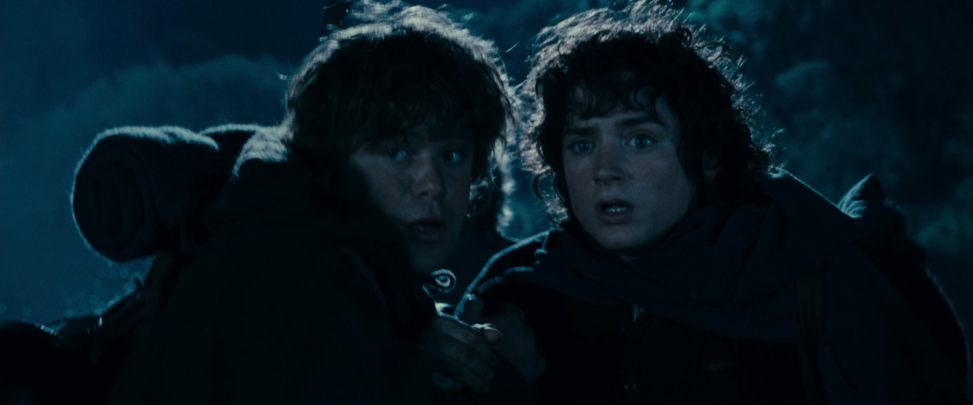 The Lord of the Rings: The Fellowship of the Ring (2001) HD screenshot 6629
