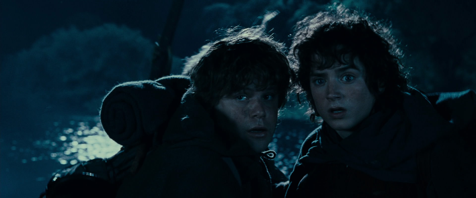 The Lord of the Rings: The Fellowship of the Ring (2001) screencap 6630