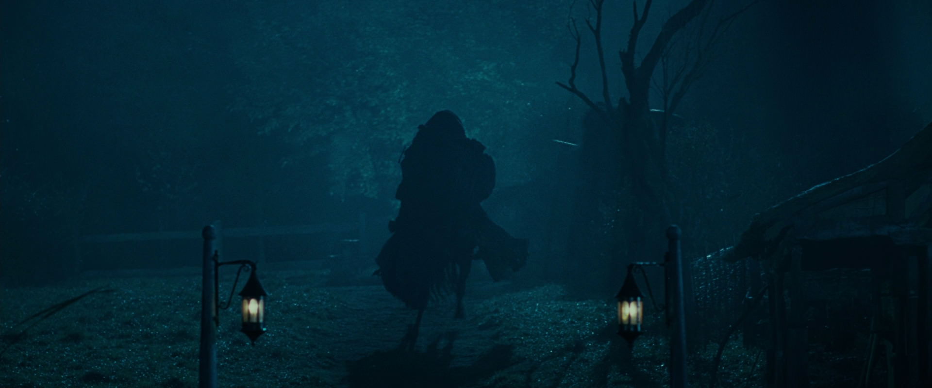 The Lord of the Rings: The Fellowship of the Ring (2001) screencap 6639
