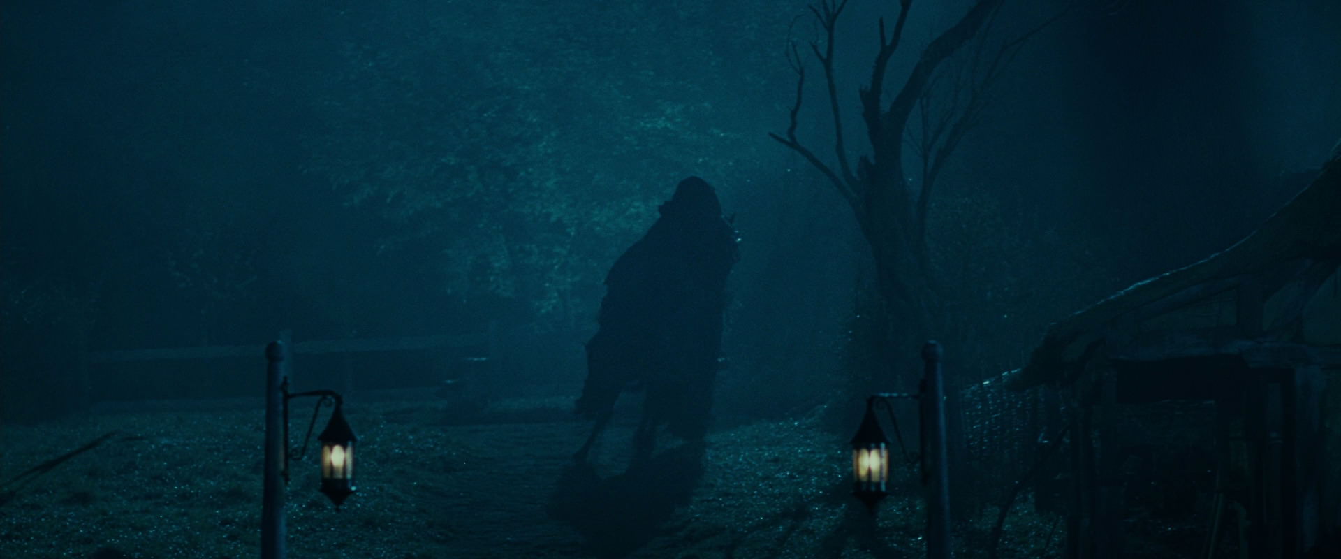 The Lord of the Rings: The Fellowship of the Ring (2001) HD screenshot 6641