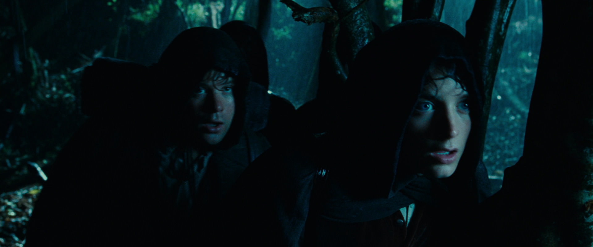 The Lord of the Rings: The Fellowship of the Ring (2001) movie still 6646