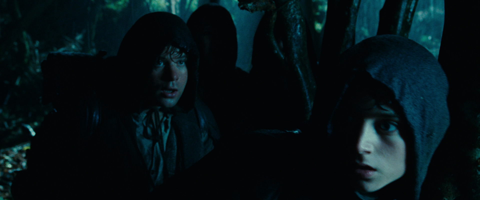 The Lord of the Rings: The Fellowship of the Ring (2001) HD screenshot 6647