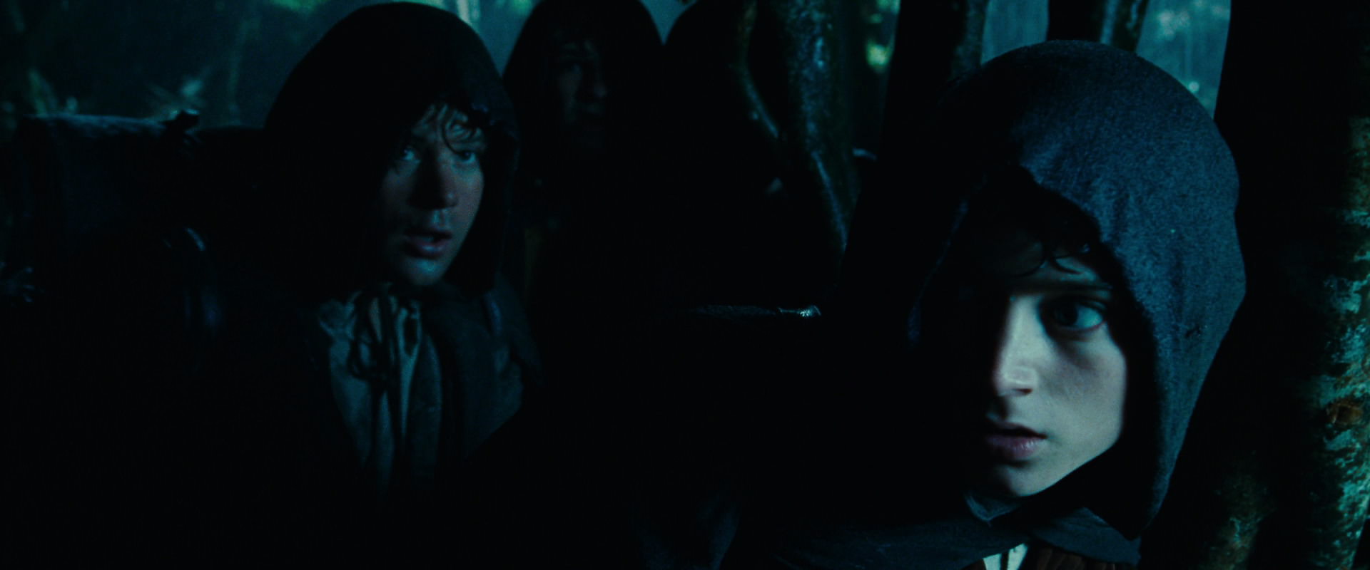 The Lord of the Rings: The Fellowship of the Ring (2001) screencap 6648
