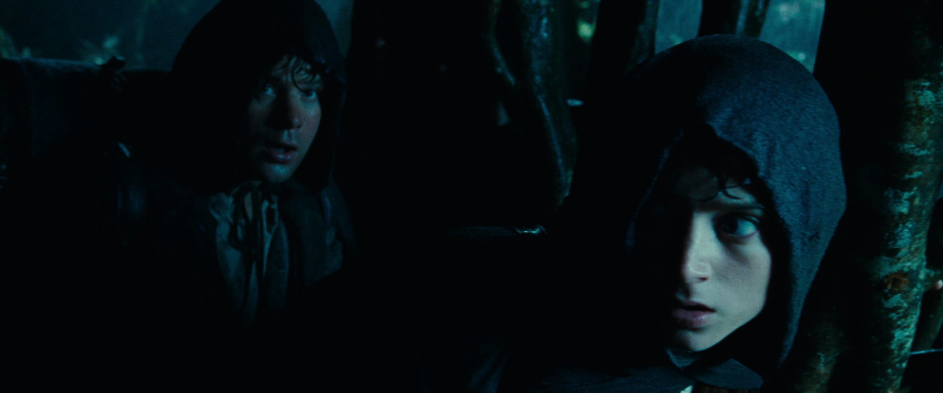 The Lord of the Rings: The Fellowship of the Ring (2001) movie still 6649