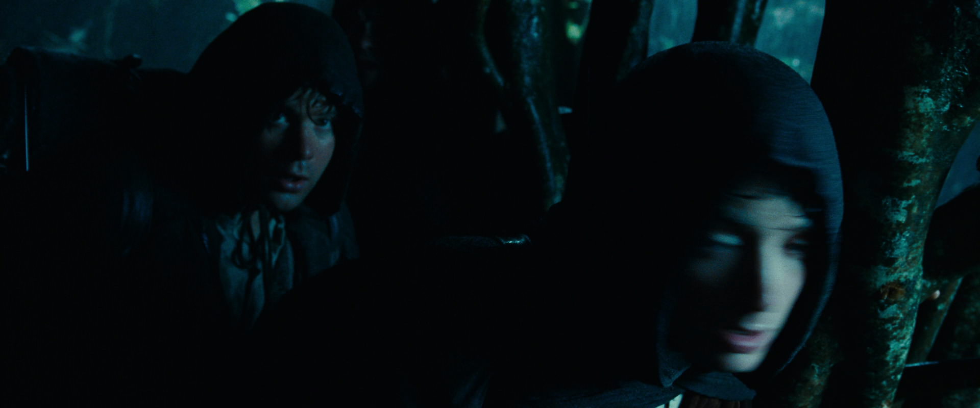 The Lord of the Rings: The Fellowship of the Ring (2001) HD screenshot 6650