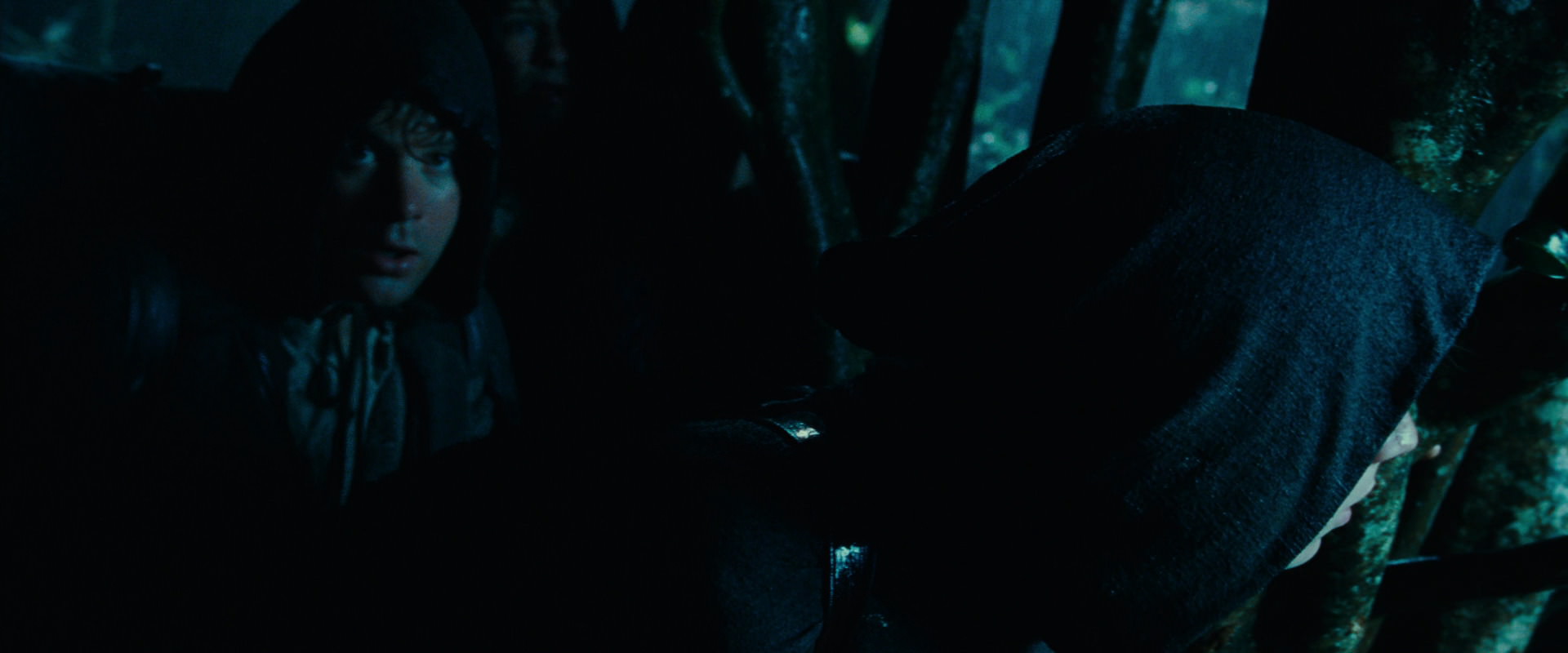 The Lord of the Rings: The Fellowship of the Ring (2001) screencap 6651