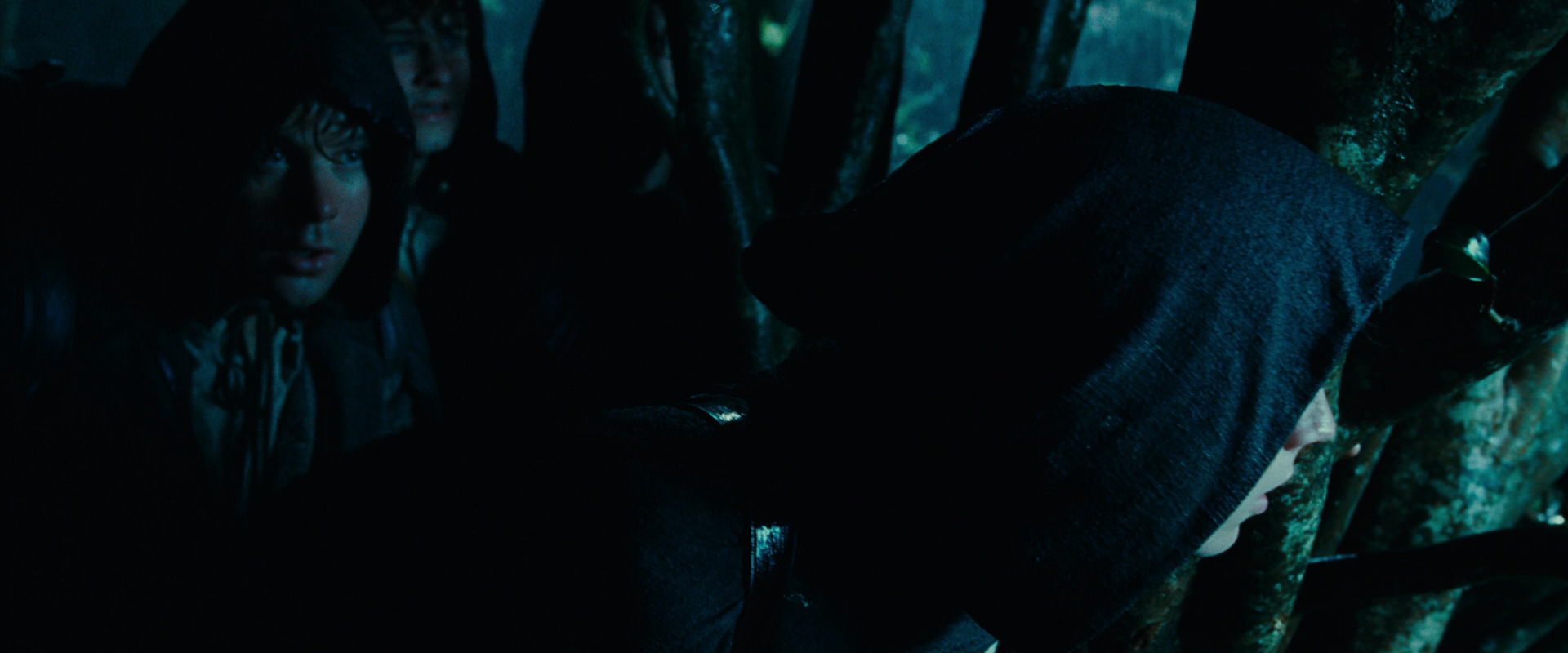 The Lord of the Rings: The Fellowship of the Ring (2001) movie still 6652