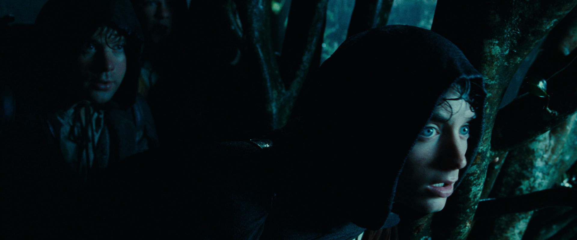 The Lord of the Rings: The Fellowship of the Ring (2001) HD screenshot 6653