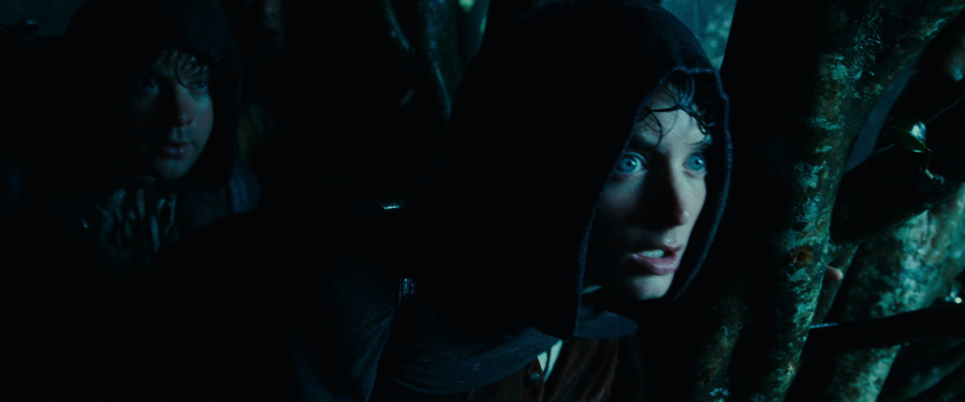The Lord of the Rings: The Fellowship of the Ring (2001) screencap 6654