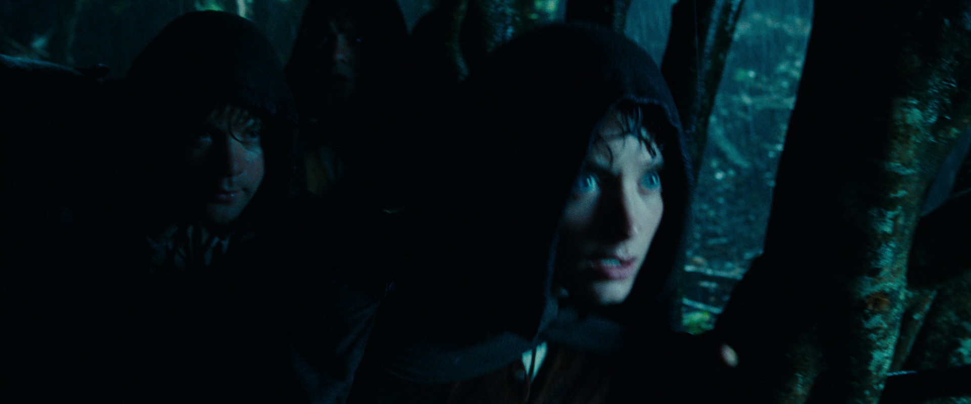 The Lord of the Rings: The Fellowship of the Ring (2001) movie still 6655