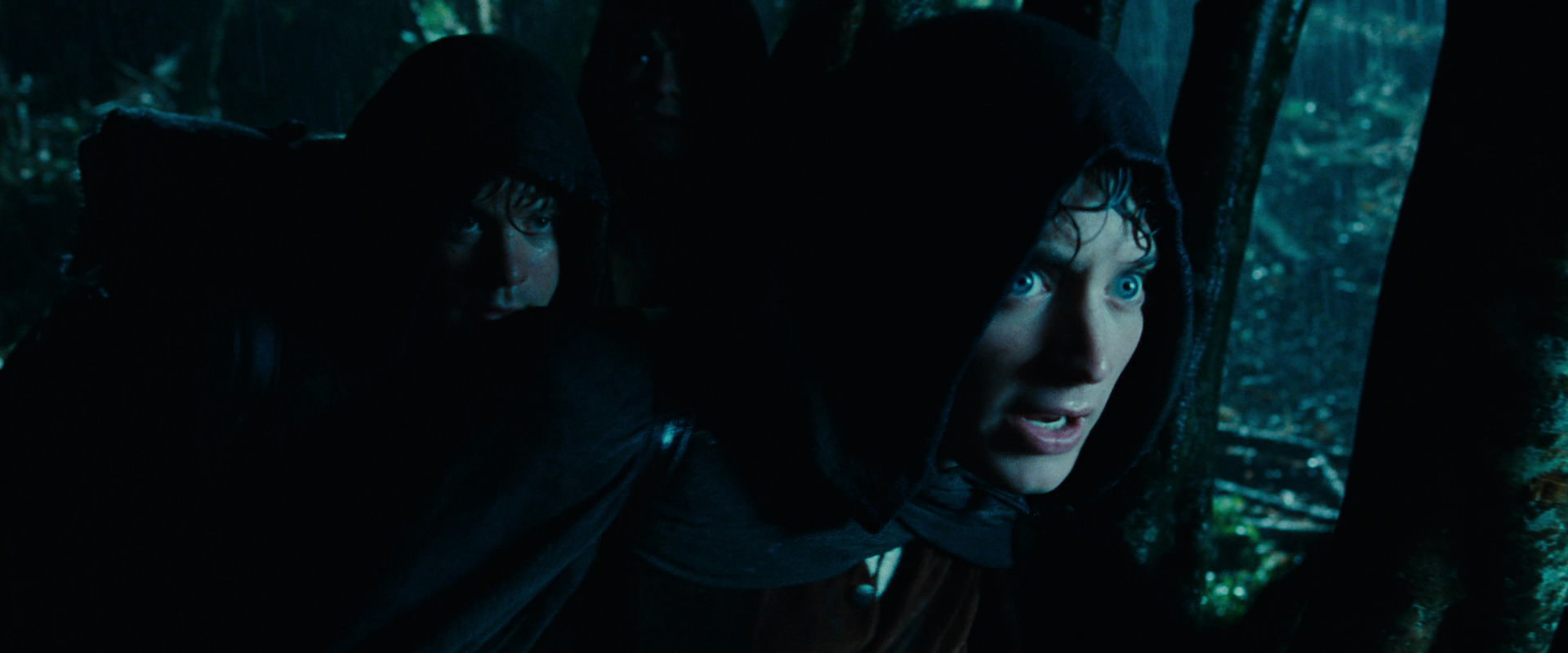 The Lord of the Rings: The Fellowship of the Ring (2001) HD screenshot 6656