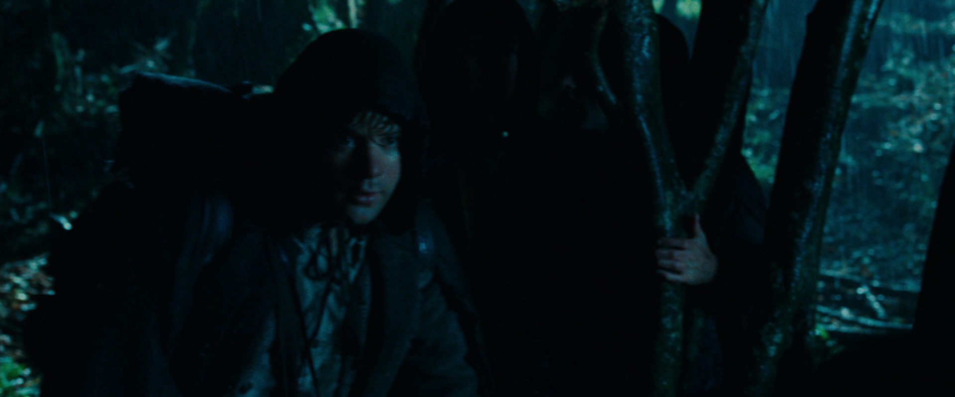 The Lord of the Rings: The Fellowship of the Ring (2001) screencap 6657