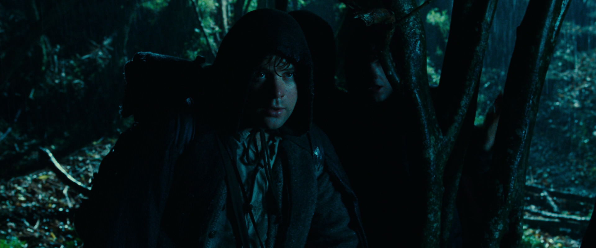 The Lord of the Rings: The Fellowship of the Ring (2001) movie still 6658