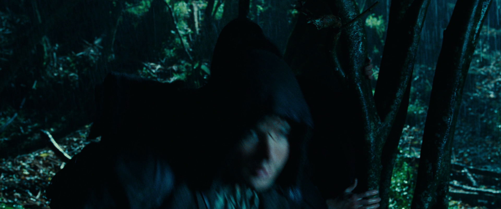 The Lord of the Rings: The Fellowship of the Ring (2001) HD screenshot 6659
