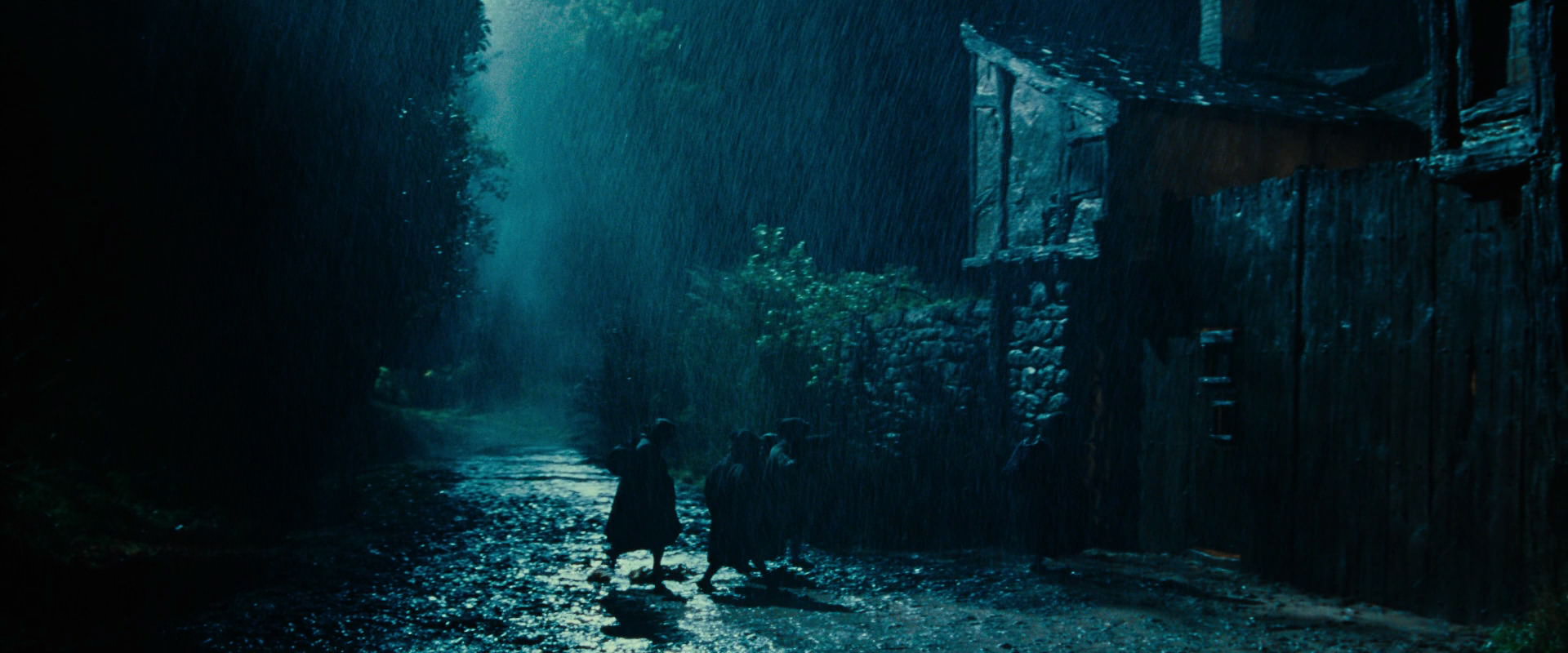 The Lord of the Rings: The Fellowship of the Ring (2001) screencap 6660