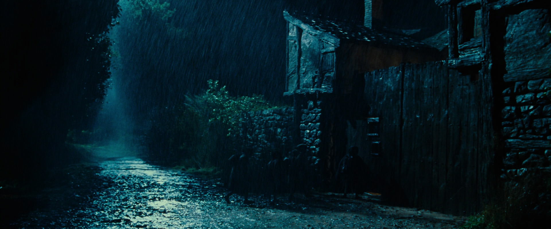 The Lord of the Rings: The Fellowship of the Ring (2001) HD screenshot 6662
