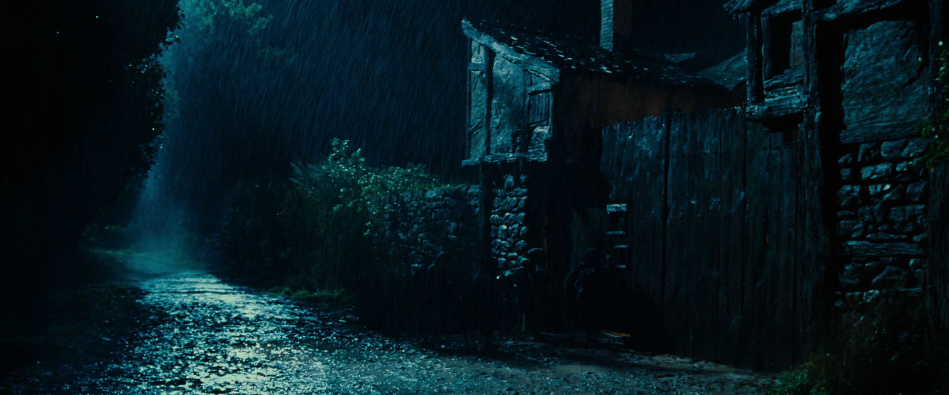 The Lord of the Rings: The Fellowship of the Ring (2001) screencap 6663