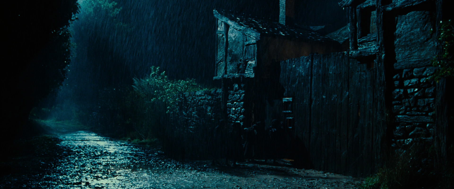 The Lord of the Rings: The Fellowship of the Ring (2001) screencap 6666