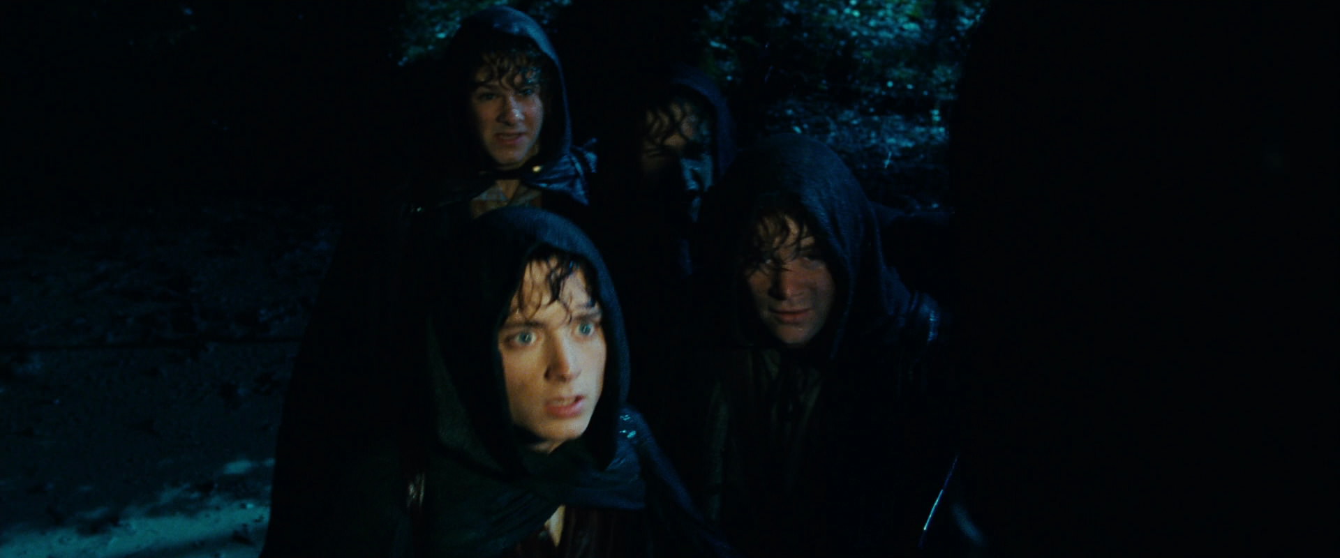 The Lord of the Rings: The Fellowship of the Ring (2001) movie still 6694