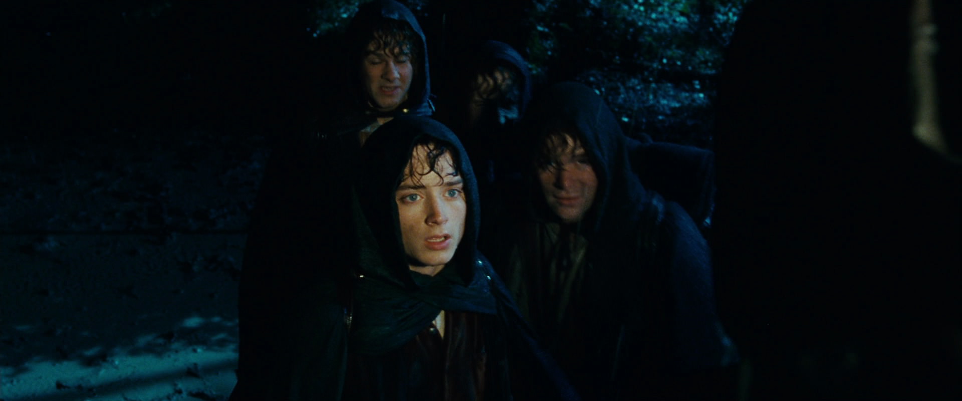 The Lord of the Rings: The Fellowship of the Ring (2001) HD screenshot 6695