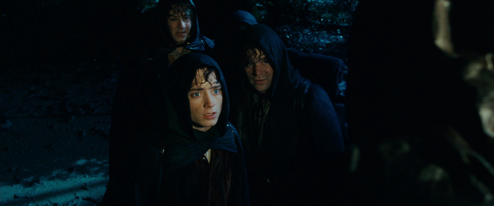 The Lord of the Rings: The Fellowship of the Ring (2001) screencap 6696