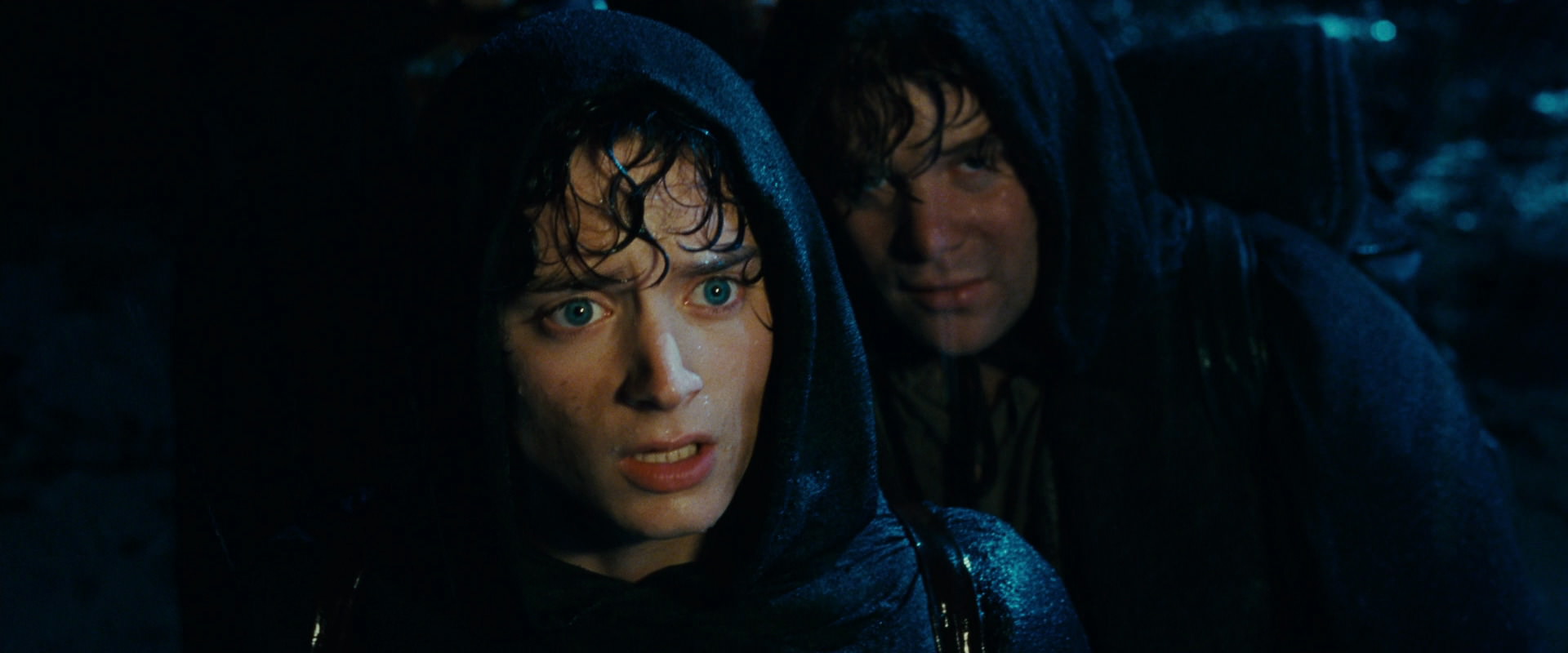 The Lord of the Rings: The Fellowship of the Ring (2001) movie still 6709