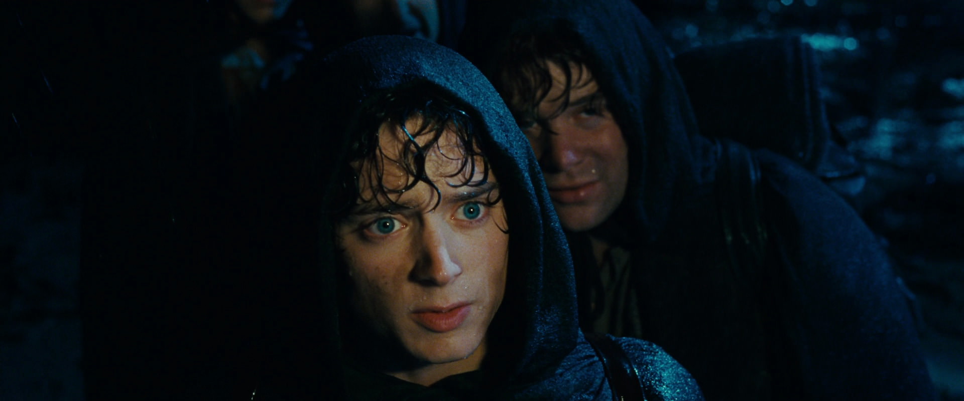 The Lord of the Rings: The Fellowship of the Ring (2001) HD screenshot 6710