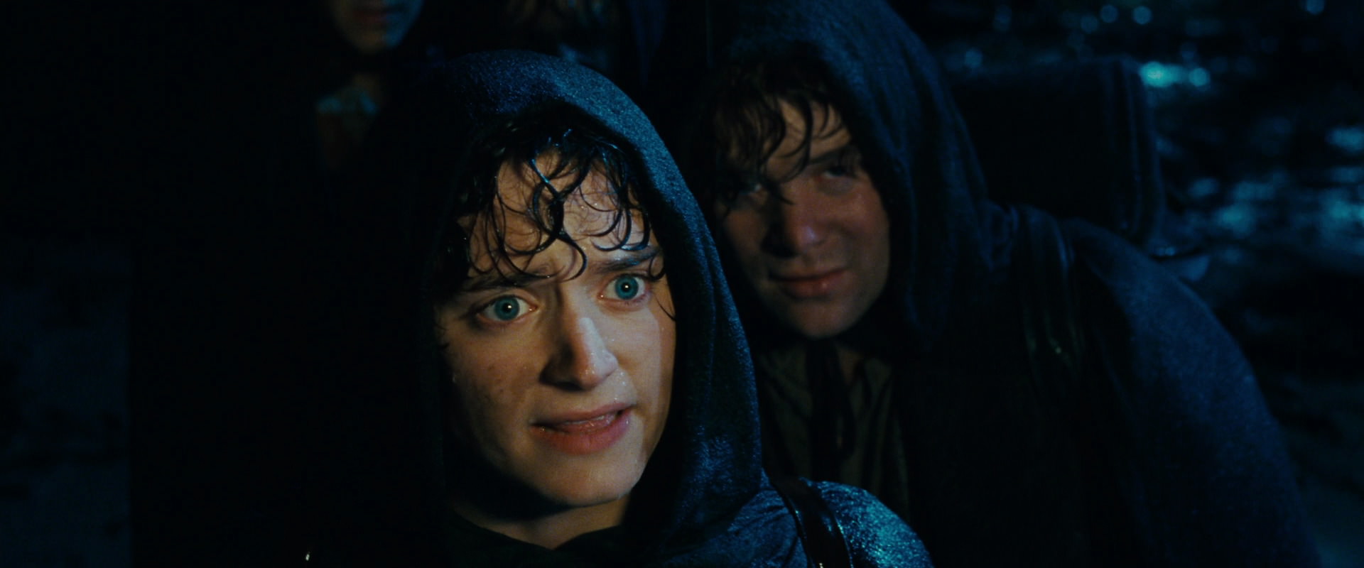 The Lord of the Rings: The Fellowship of the Ring (2001) screencap 6711