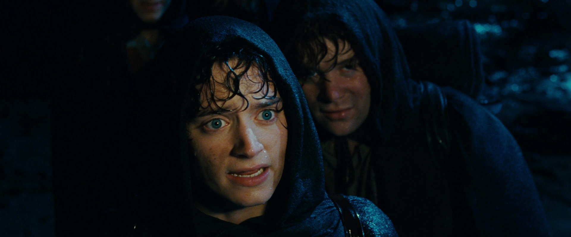 The Lord of the Rings: The Fellowship of the Ring (2001) movie still 6712