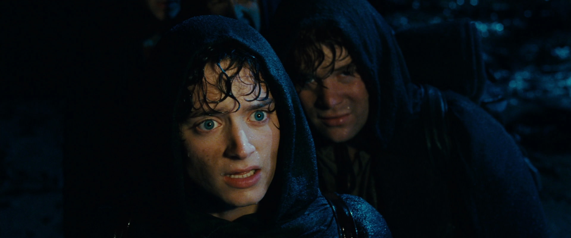 The Lord of the Rings: The Fellowship of the Ring (2001) HD screenshot 6713