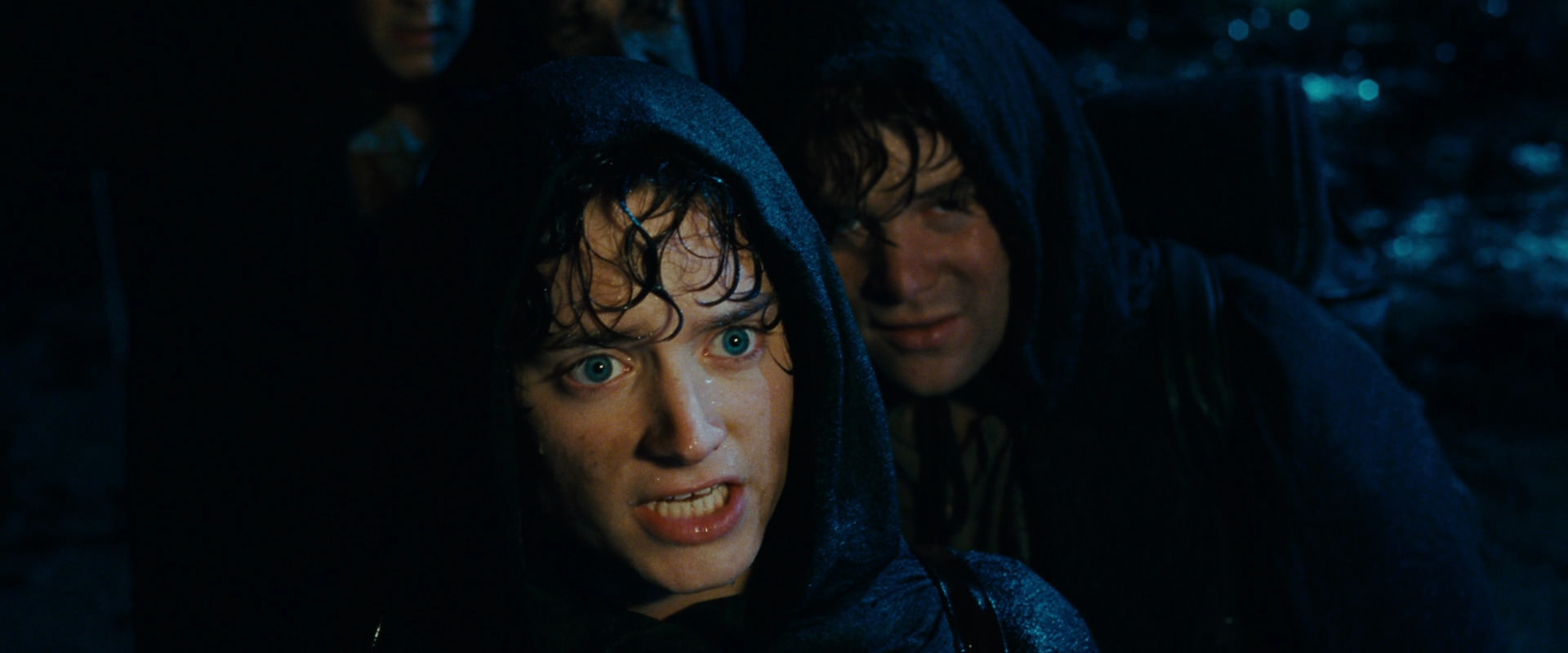 The Lord of the Rings: The Fellowship of the Ring (2001) screencap 6714