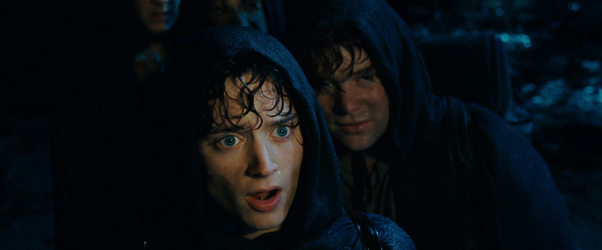 The Lord of the Rings: The Fellowship of the Ring (2001) movie still 6715