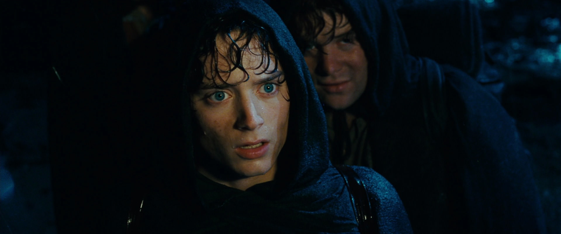 The Lord of the Rings: The Fellowship of the Ring (2001) movie still 6721
