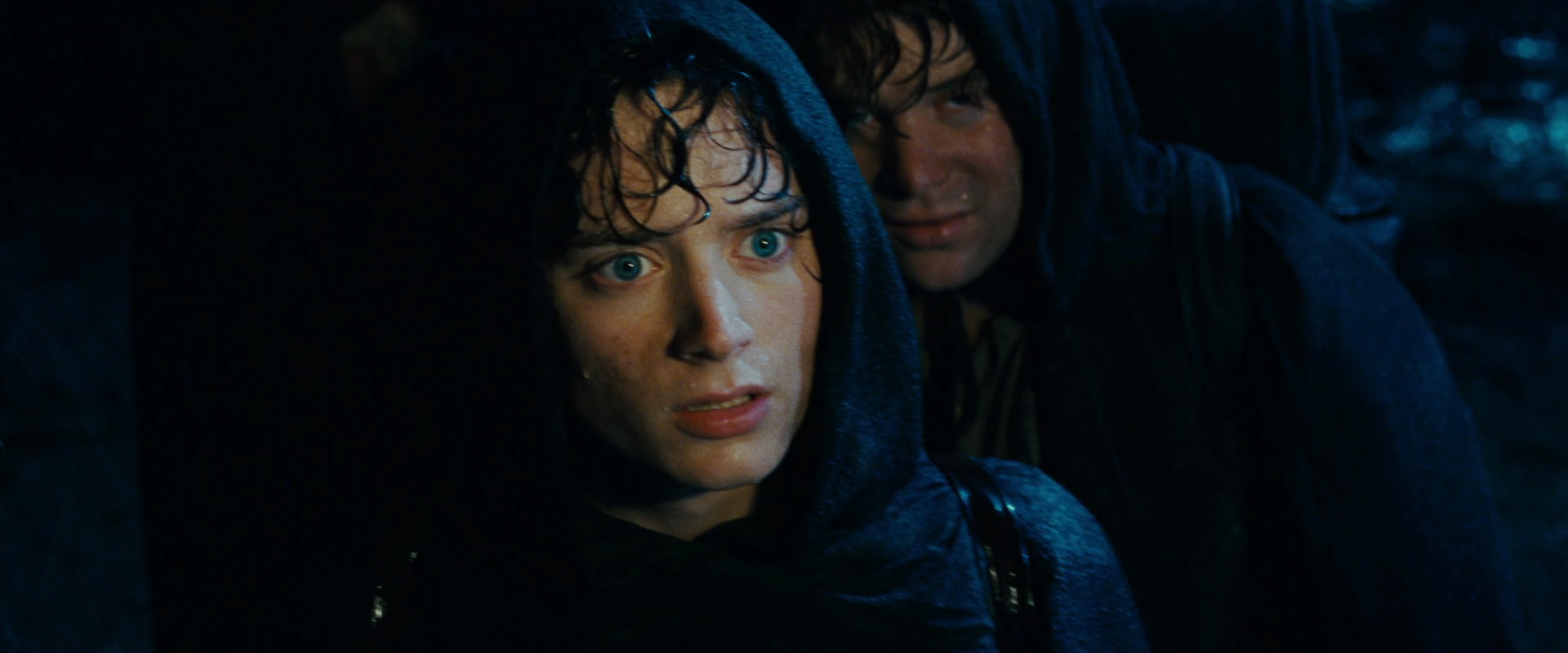 The Lord of the Rings: The Fellowship of the Ring (2001) HD screenshot 6722