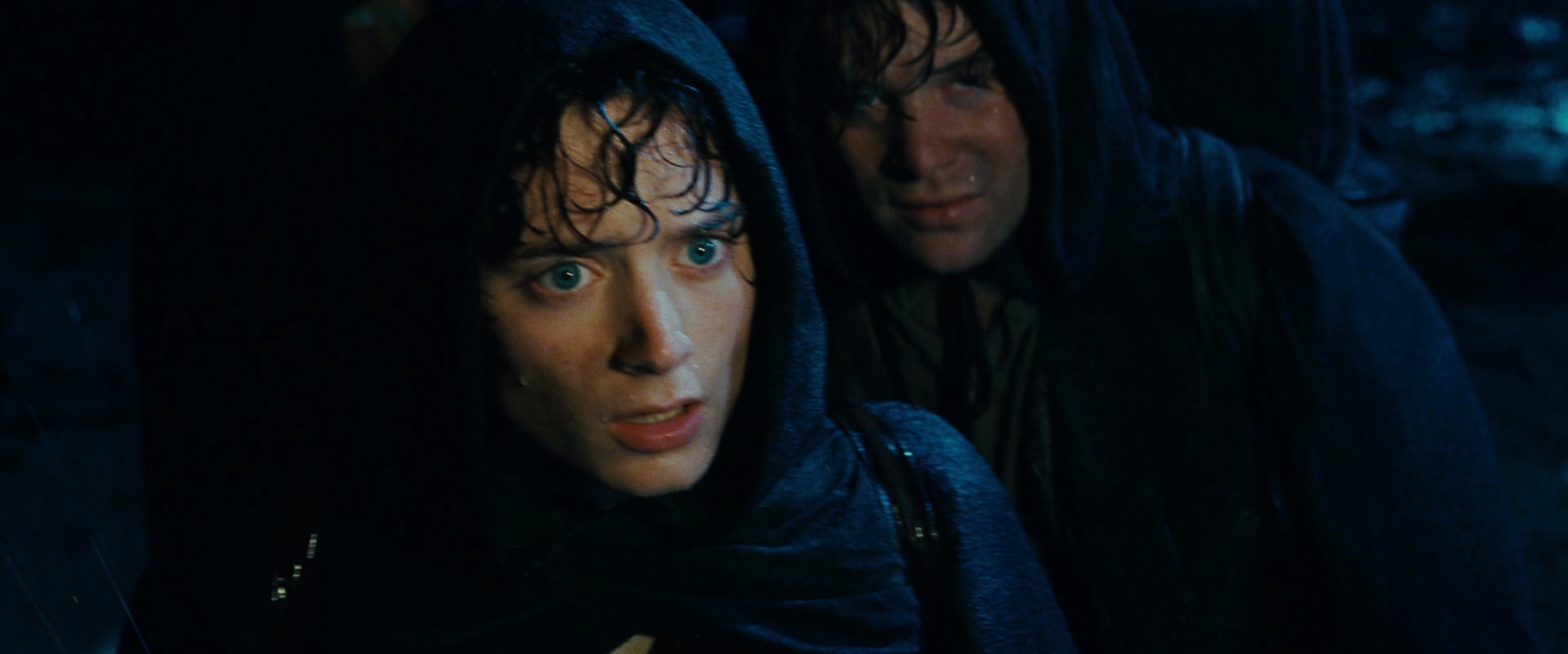 The Lord of the Rings: The Fellowship of the Ring (2001) screencap 6723