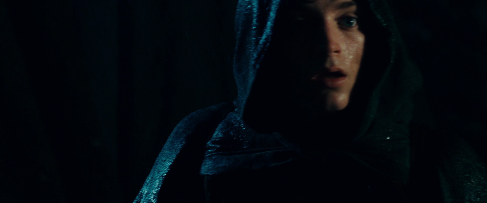 The Lord of the Rings: The Fellowship of the Ring (2001) HD screenshot 6788