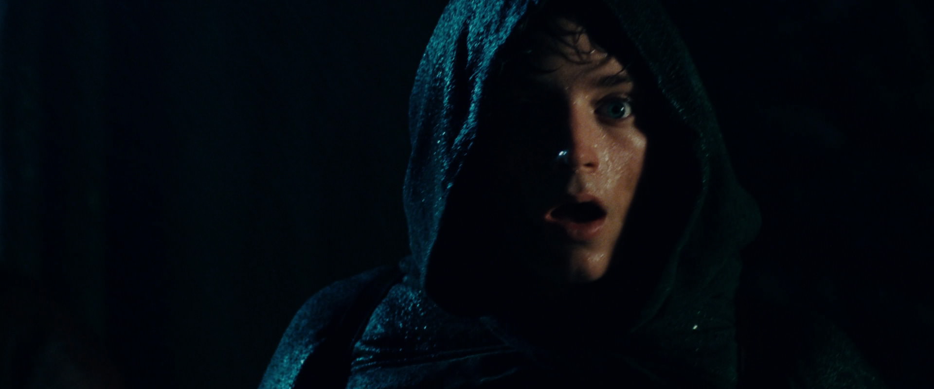 The Lord of the Rings: The Fellowship of the Ring (2001) screencap 6789