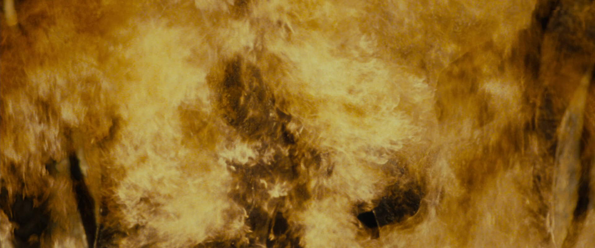 The Lord of the Rings: The Fellowship of the Ring (2001) HD screenshot 68
