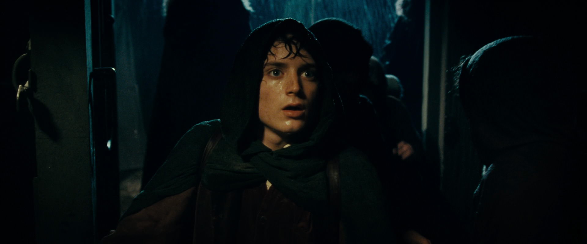 The Lord of the Rings: The Fellowship of the Ring (2001) screencap 6804