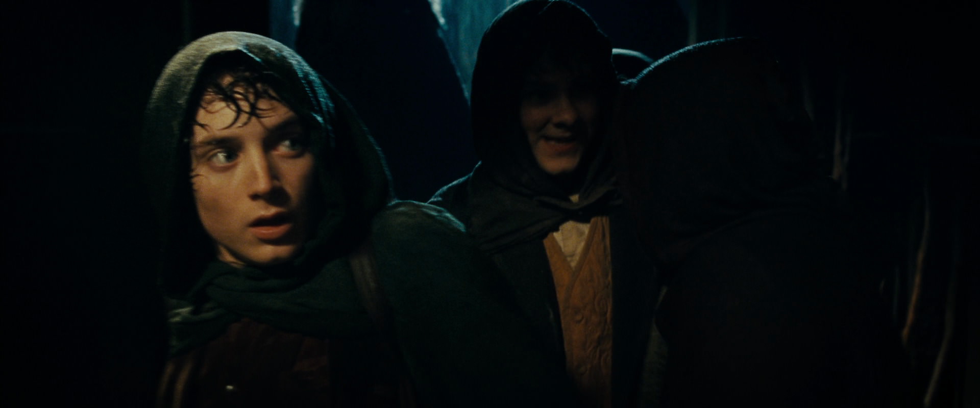 The Lord of the Rings: The Fellowship of the Ring (2001) HD screenshot 6806