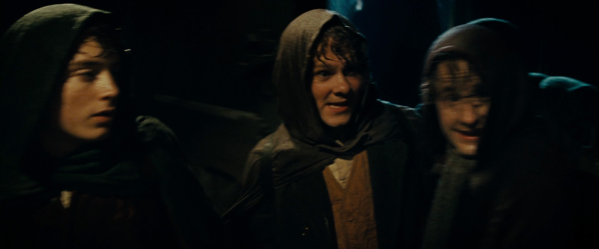 The Lord of the Rings: The Fellowship of the Ring (2001) screencap 6807