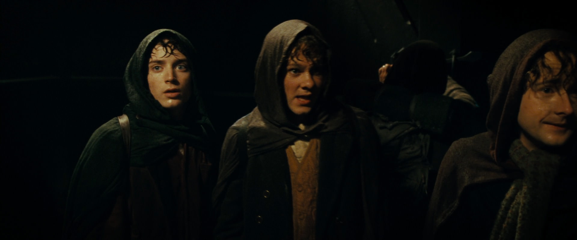 The Lord of the Rings: The Fellowship of the Ring (2001) screencap 6810