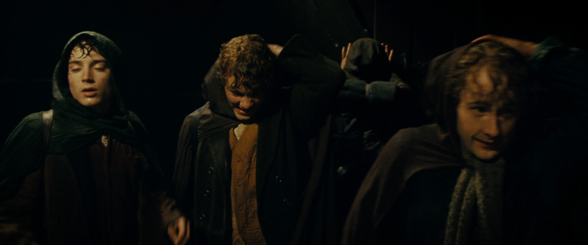 The Lord of the Rings: The Fellowship of the Ring (2001) HD screenshot 6812
