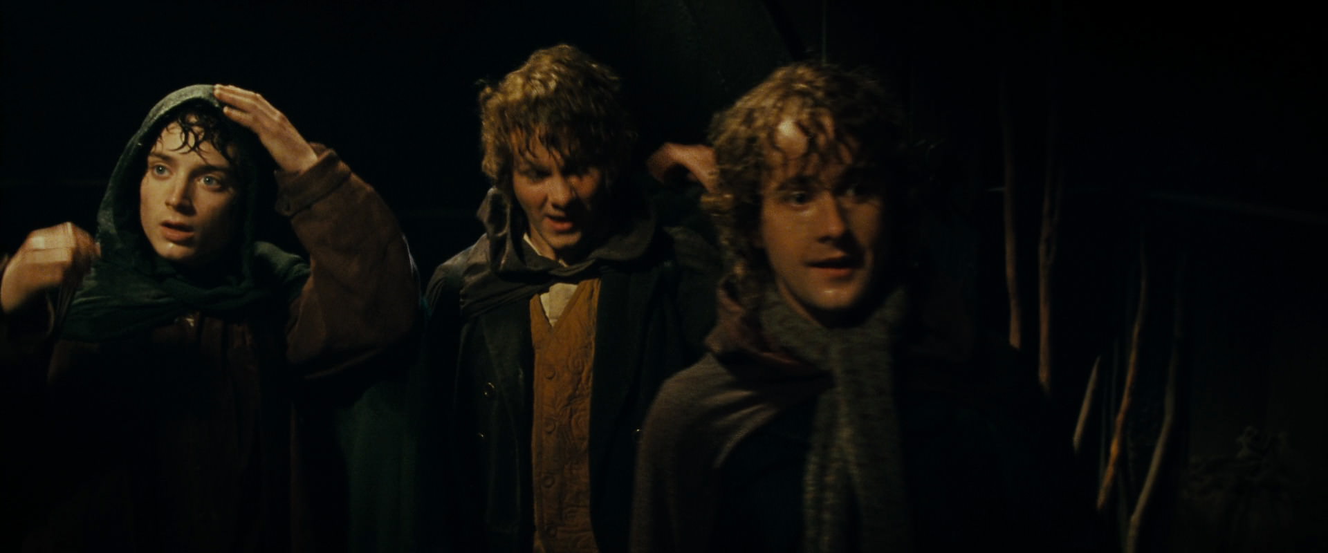 The Lord of the Rings: The Fellowship of the Ring (2001) screencap 6813