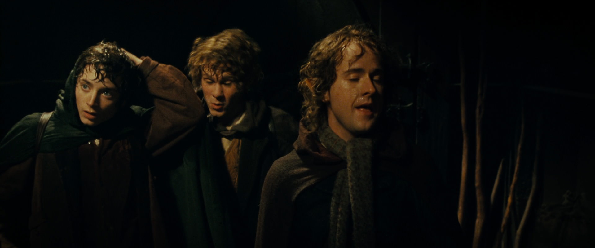 The Lord of the Rings: The Fellowship of the Ring (2001) movie still 6814
