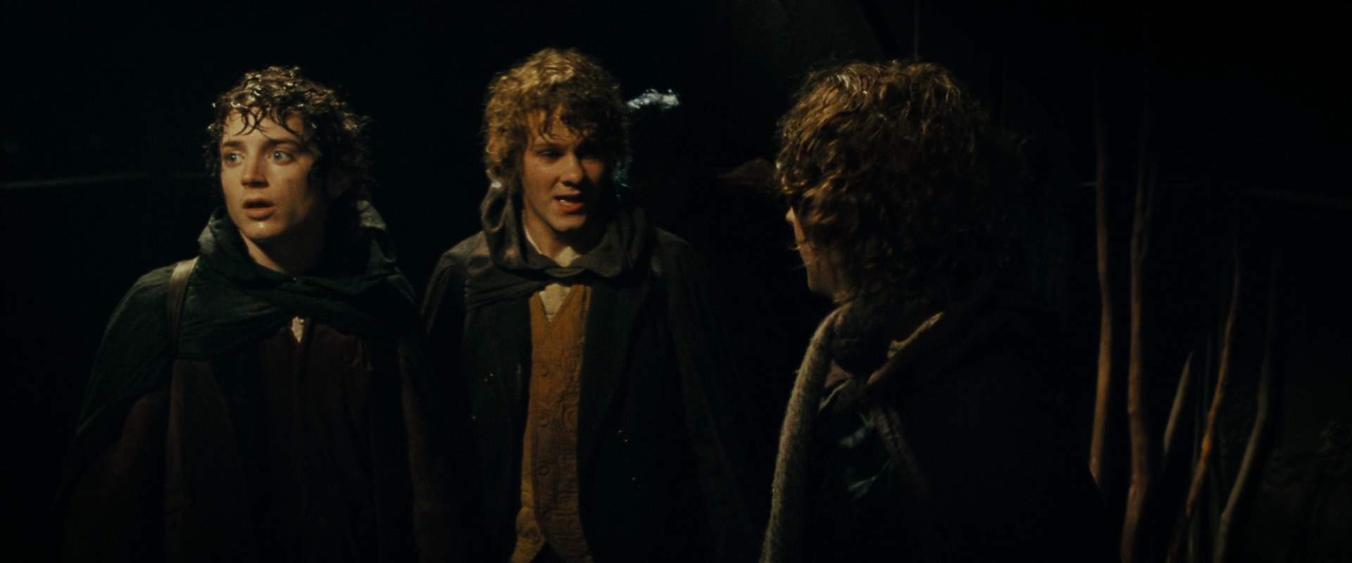 The Lord of the Rings: The Fellowship of the Ring (2001) screencap 6816