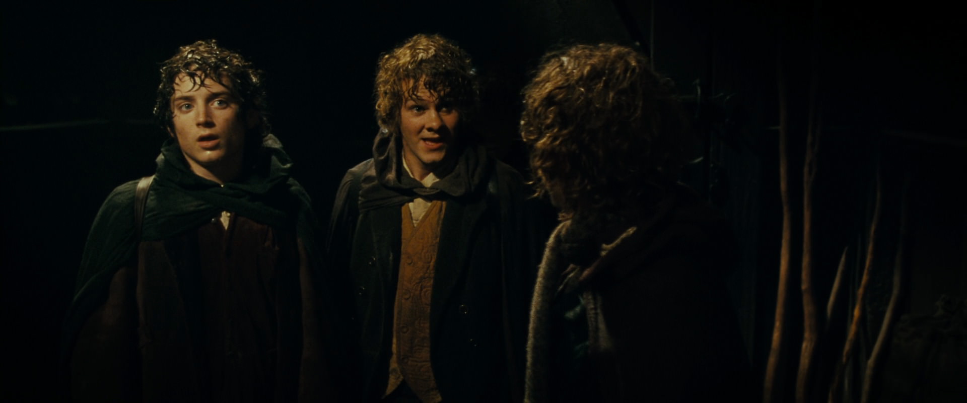 The Lord of the Rings: The Fellowship of the Ring (2001) movie still 6817