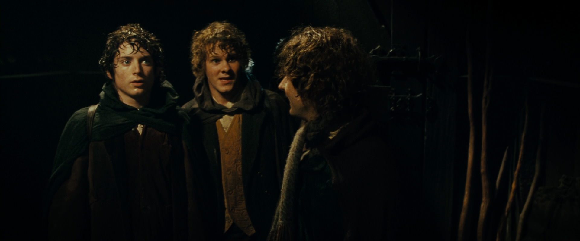 The Lord of the Rings: The Fellowship of the Ring (2001) HD screenshot 6818