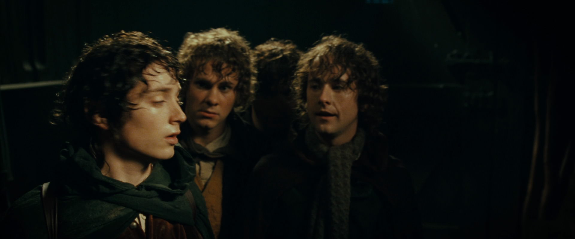 The Lord of the Rings: The Fellowship of the Ring (2001) HD screenshot 6824