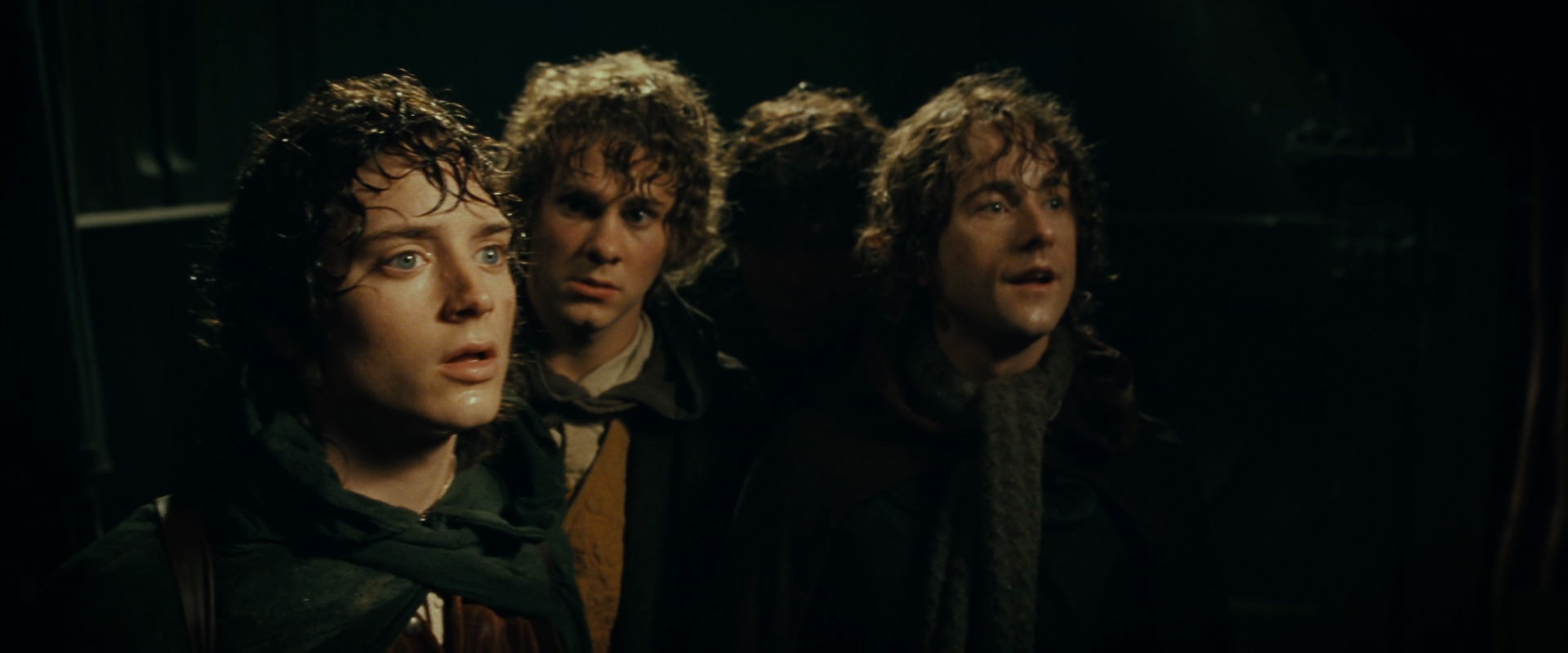 The Lord of the Rings: The Fellowship of the Ring (2001) HD screenshot 6827